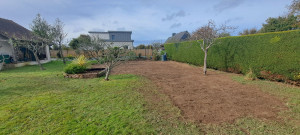 Photo de galerie - Jardin-potager après (avec engazonnement)
