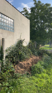 Photo de galerie - Paysagiste - Aménagement du jardin