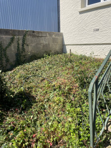 Photo de galerie - Tonte de pelouse - Débroussaillage