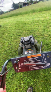 Photo de galerie - 1200 m2