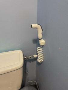 Photo de galerie - Installation flexible douchette dans toilette 