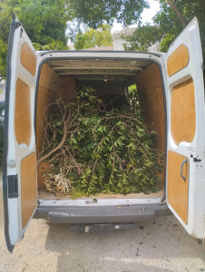 Photo de galerie - Évacuation déchets - Gravats