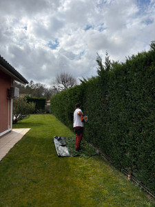 Photo de galerie - Taille de haie