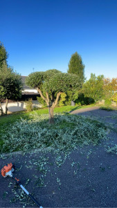 Photo de galerie - Taille précise 