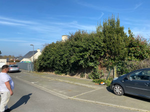 Photo de galerie - Taille de haies et d'arbustes