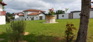 Photo de galerie - Peinture - Tapisserie