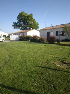 Photo de galerie - Tonte de pelouse - Débroussaillage