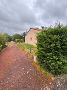 Photo de galerie - Tonte et taille de haie ( Avant ) 