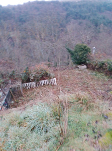 Photo de galerie - Débroussaillage après