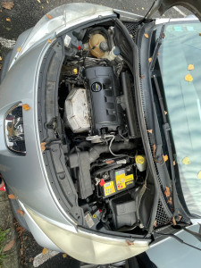 Photo de galerie - Changement moteur 