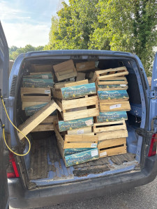Photo de galerie - Débarras de cagettes sous abris bois 