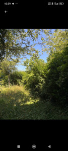 Photo de galerie - Avant 