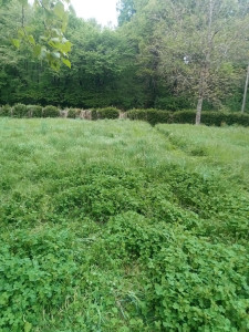 Photo de galerie - Avant