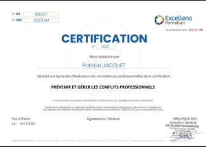Photo de galerie - Certification gestion des conflits