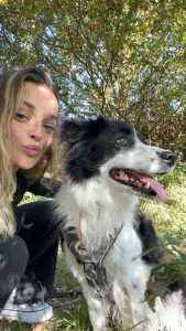 Photo de galerie - Garde de réglisse 