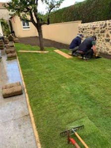 Photo de galerie - Pose de gazon en rouleau 