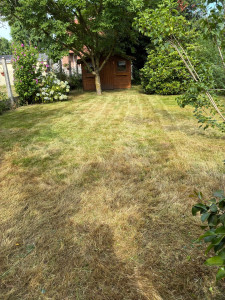 Photo de galerie - Paysagiste - Aménagement du jardin