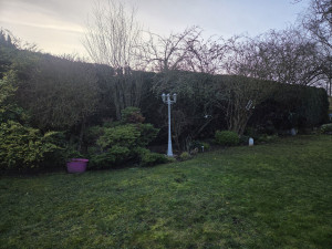 Photo de galerie - Haie