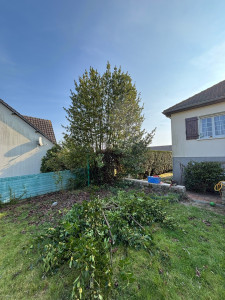 Photo de galerie - Elagage et coupe d'arbres