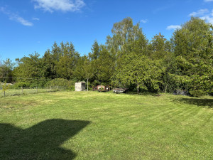 Photo de galerie - Tonte de pelouse