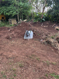 Photo de galerie - Rognage de souche après 