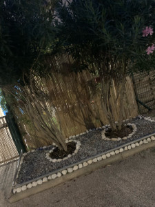 Photo de galerie - Aménagement de jardin :( entrée,cour,jardin…….)