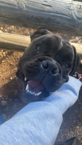 Photo de galerie - Petit cœur 