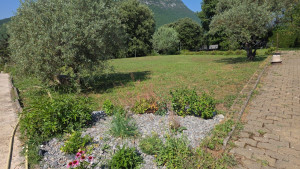 Photo de galerie - Aménagement jardin a laragne