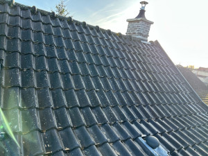 Photo de galerie - Demousage 