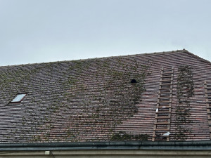 Photo de galerie - Couverture - Toiture