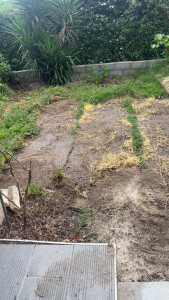 Photo de galerie - Paysagiste - Aménagement du jardin