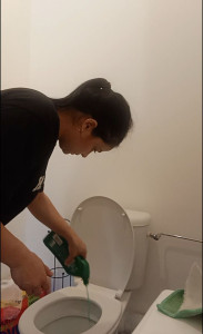 Photo de galerie - Nettoyage des toilettes
