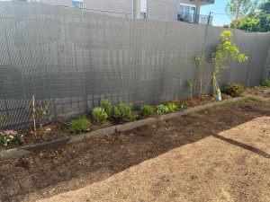 Photo de galerie - Plantation 
