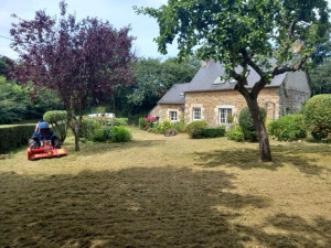 Photo de galerie - Tonte et taille de haie 