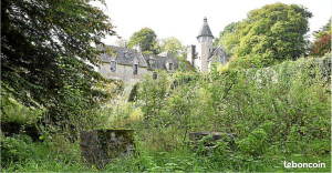 Photo de galerie - Debroussaillage