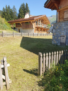 Photo de galerie - Tonte de pelouse - Débroussaillage