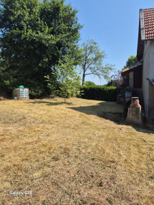 Photo de galerie - Tonte de pelouse - Débroussaillage