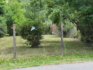 Photo de galerie - Débroussaillage et taillage des arbres 