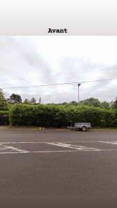 Photo de galerie - Taille de haies et d'arbustes