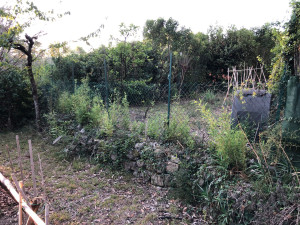 Photo de galerie - Paysagiste - Aménagement du jardin