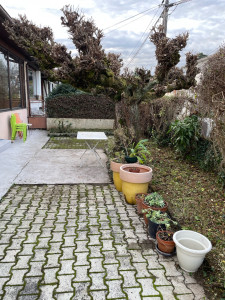 Photo de galerie - Elagage et coupe d'arbres