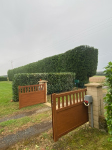 Photo de galerie - Taille de haies et d'arbustes