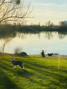 Photo de galerie - La maison du lac avec son grand jardin clôturé, le bonheur des chiens