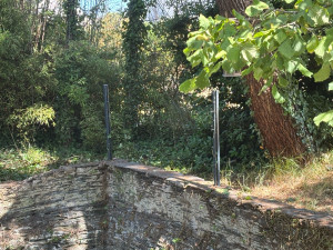 Photo de galerie - Tonte de pelouse - Débroussaillage