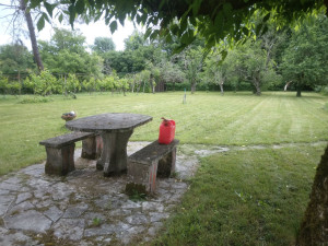 Photo de galerie - Même jardin tondu