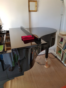 Photo de galerie - UN PIANO A QUEUE !!