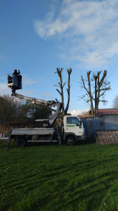 Photo de galerie - élagage deux 2 frêne avec notre camion nacelle proche d'une habitation et d'un garage
devis et déplacement gratuit 