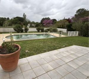 Photo de galerie - Tonte de pelouse - Débroussaillage