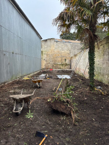 Photo de galerie - Nettoyage de jardin