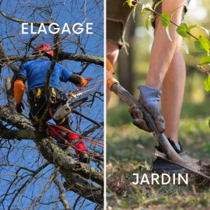 Photo de galerie - élagage taille d'arbres 